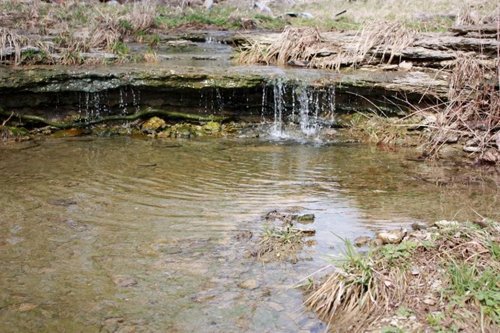 Property photo 13 - ABSOLUTE AUCTION - 298 Acres Offered in 4 Tracts